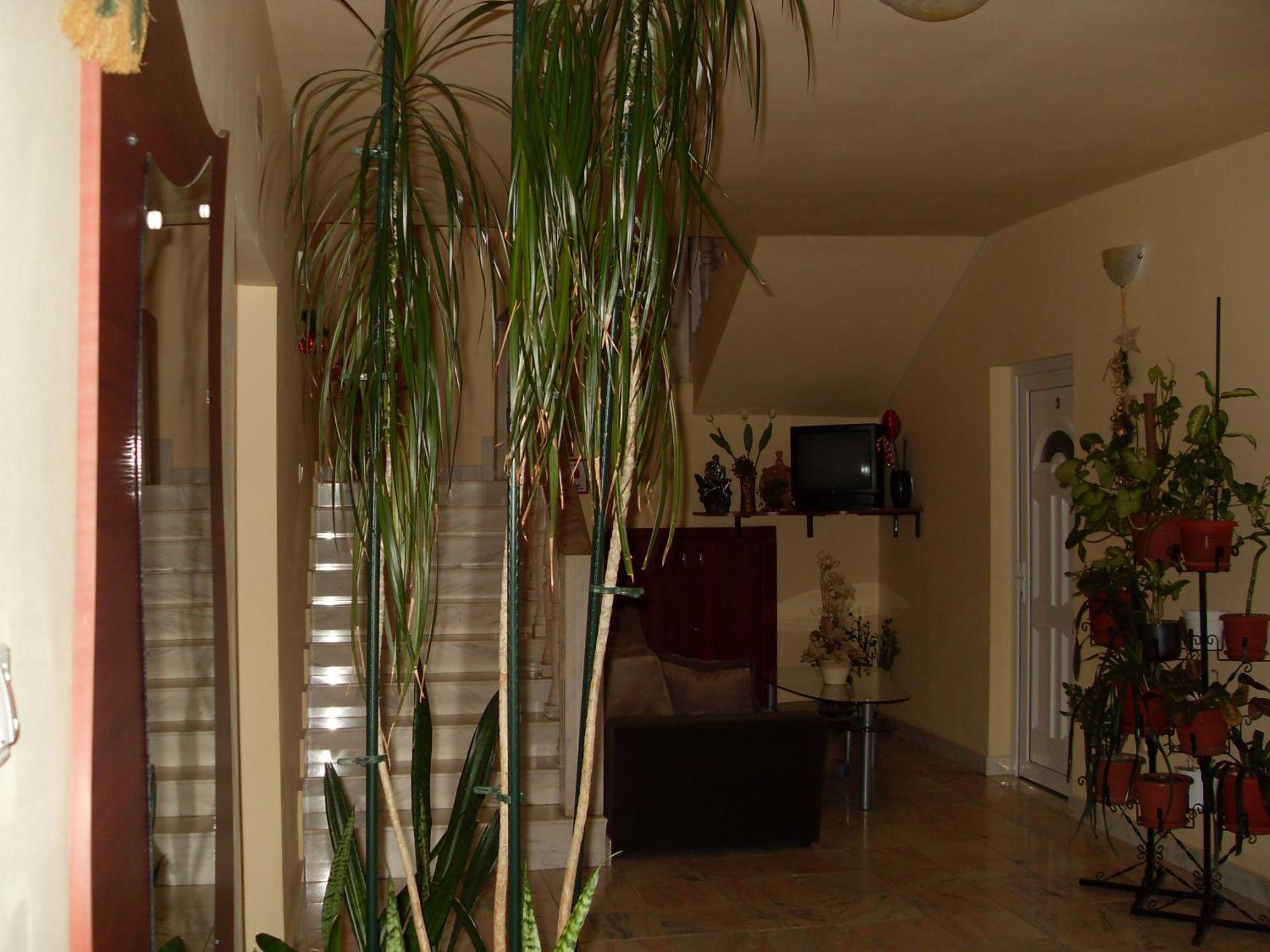Pensiunea Beverly Hills Baile Felix Exterior photo